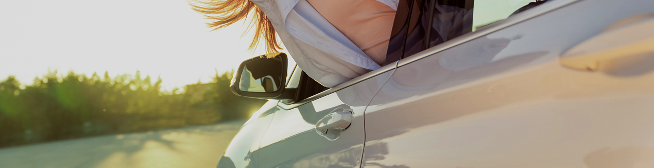 Windshield Protection Film