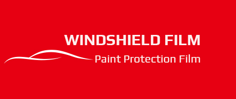 Windshield Protection